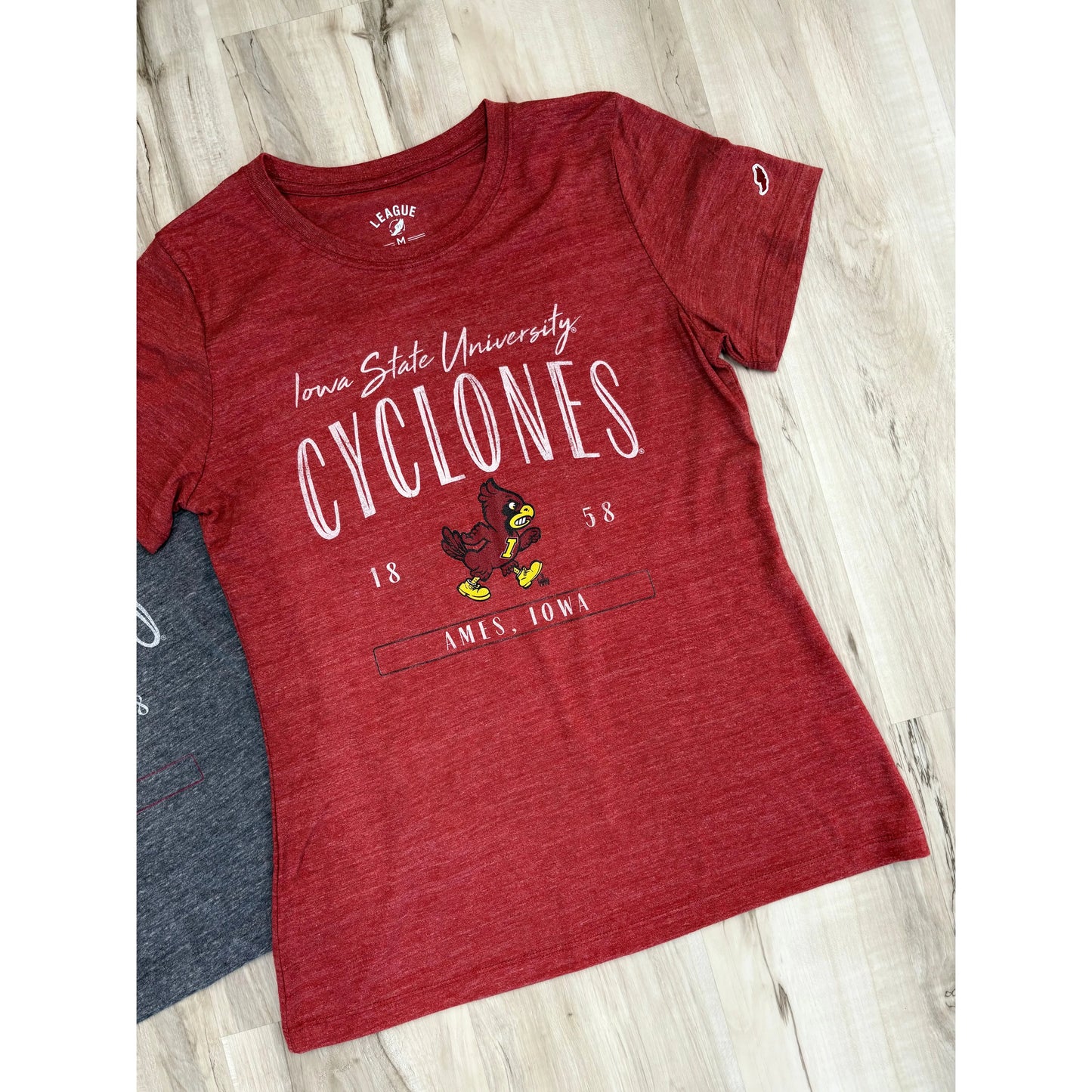 1858 Iowa State Cyclones