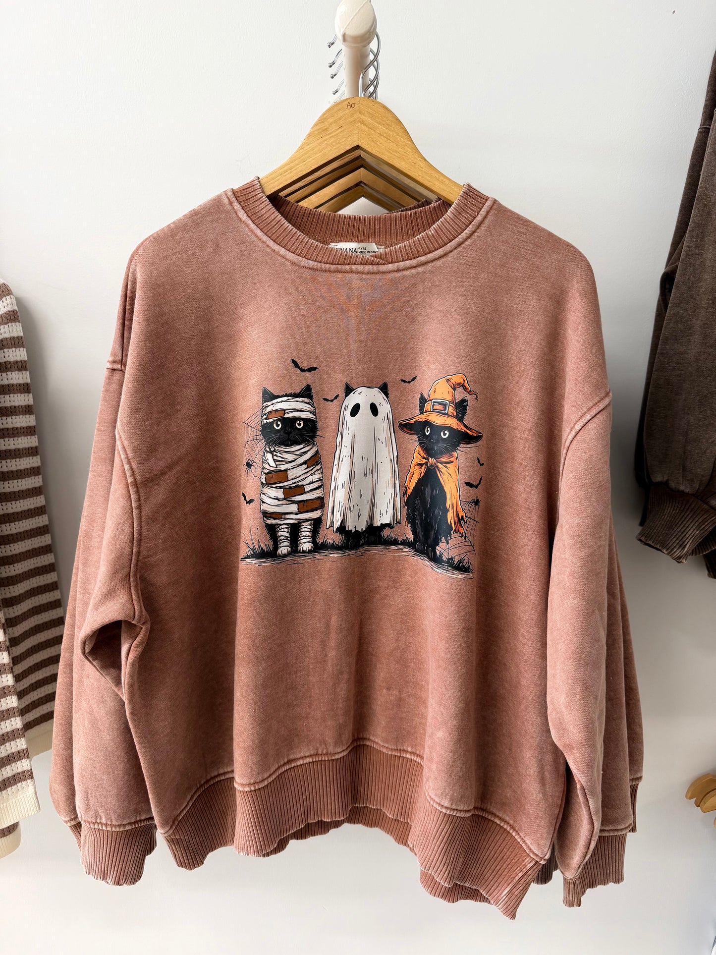 Zenana Fall Sweatshirts