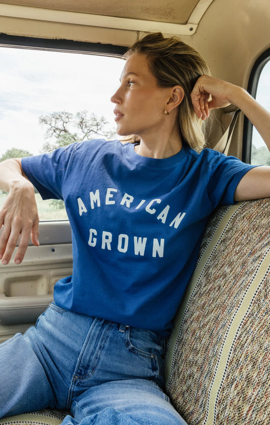 Z Supply American Boyfriend Tee