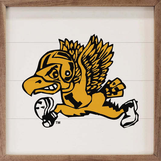 4 x 4 x 1 Frames