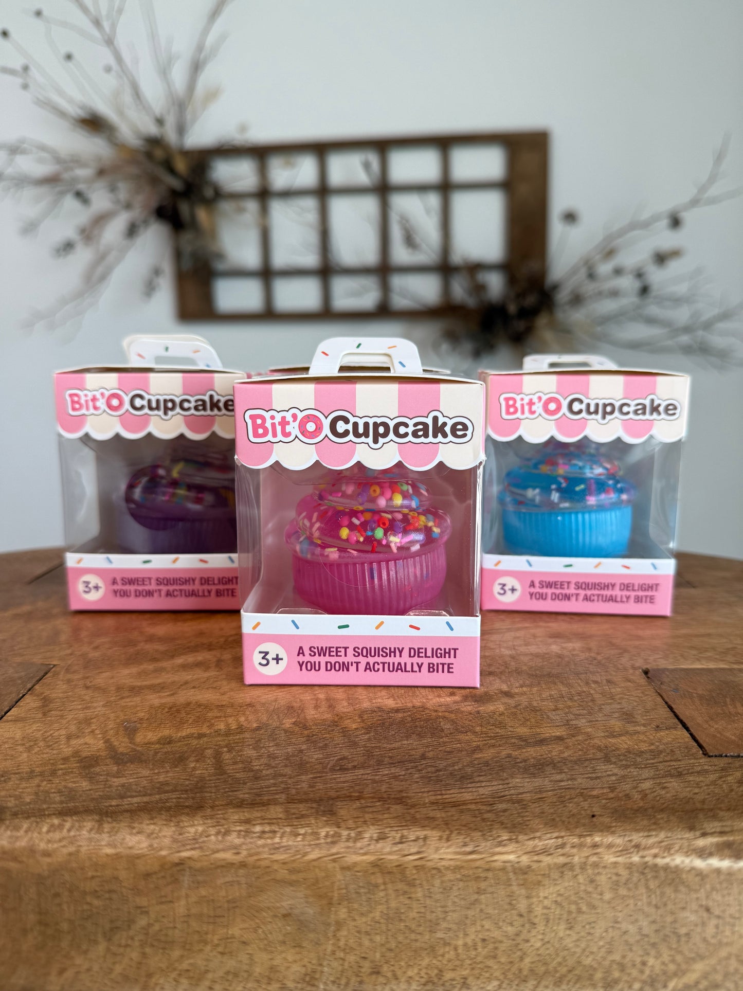 Bit'O Cupcake Squishy