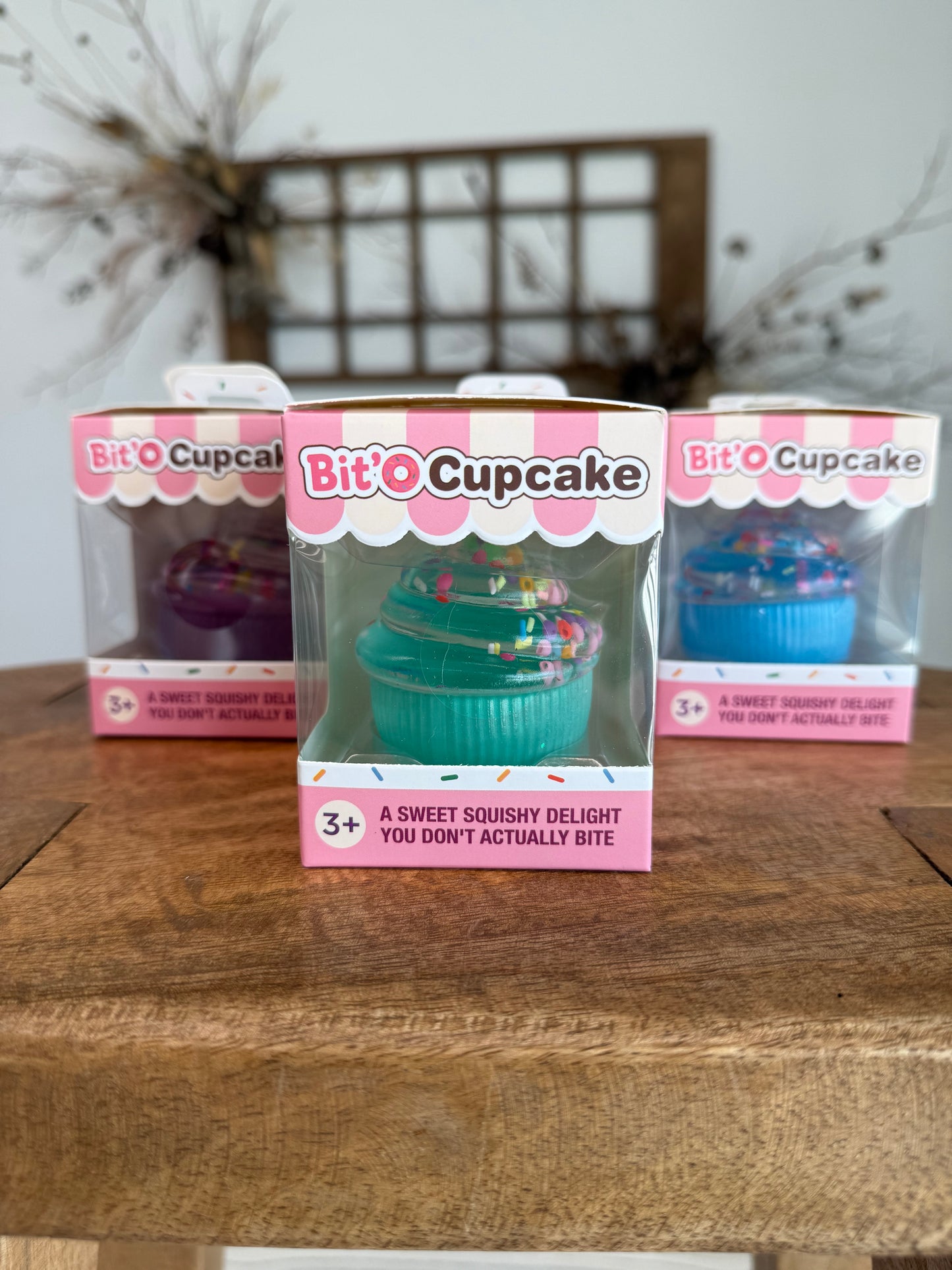 Bit'O Cupcake Squishy