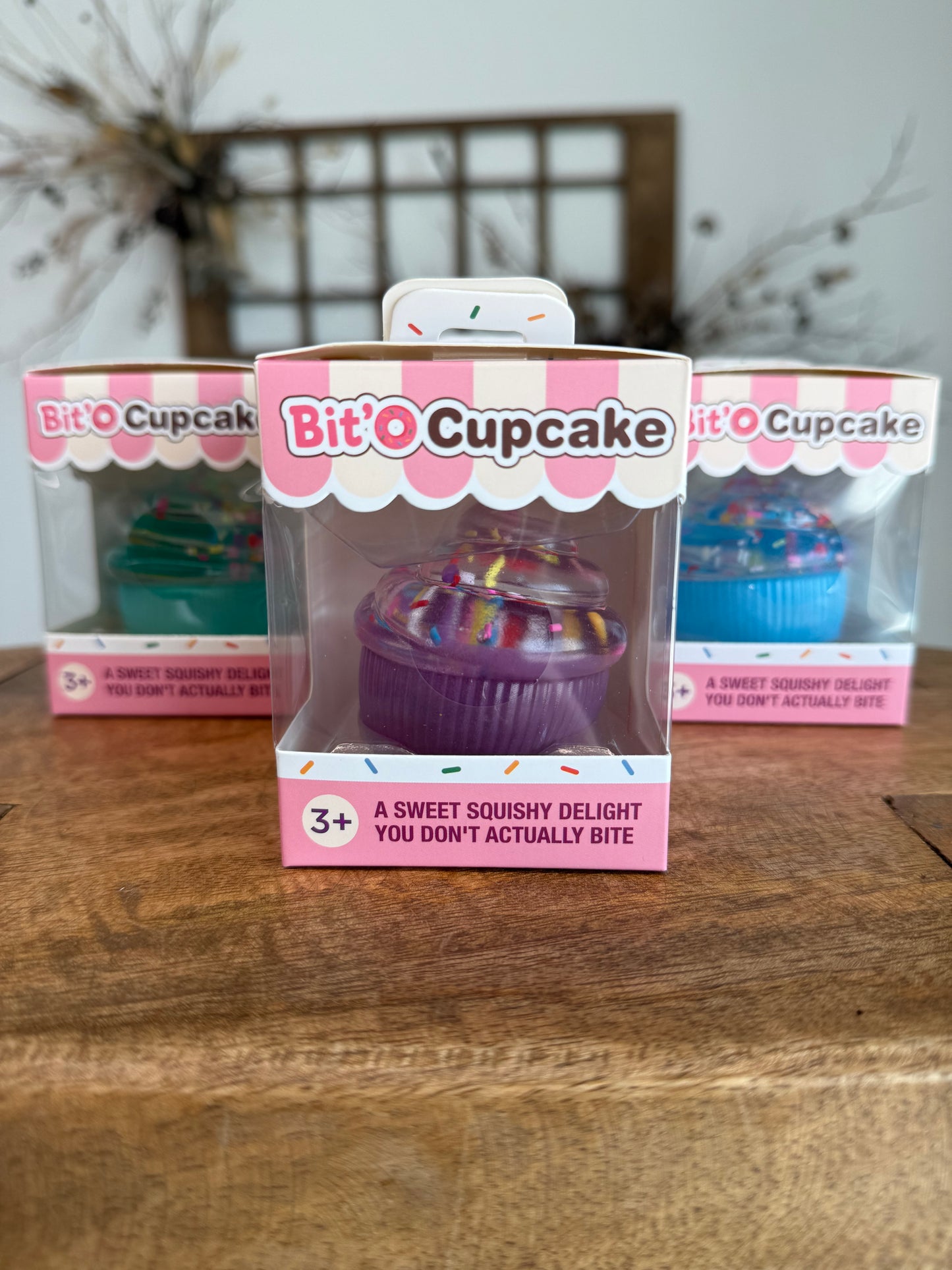 Bit'O Cupcake Squishy