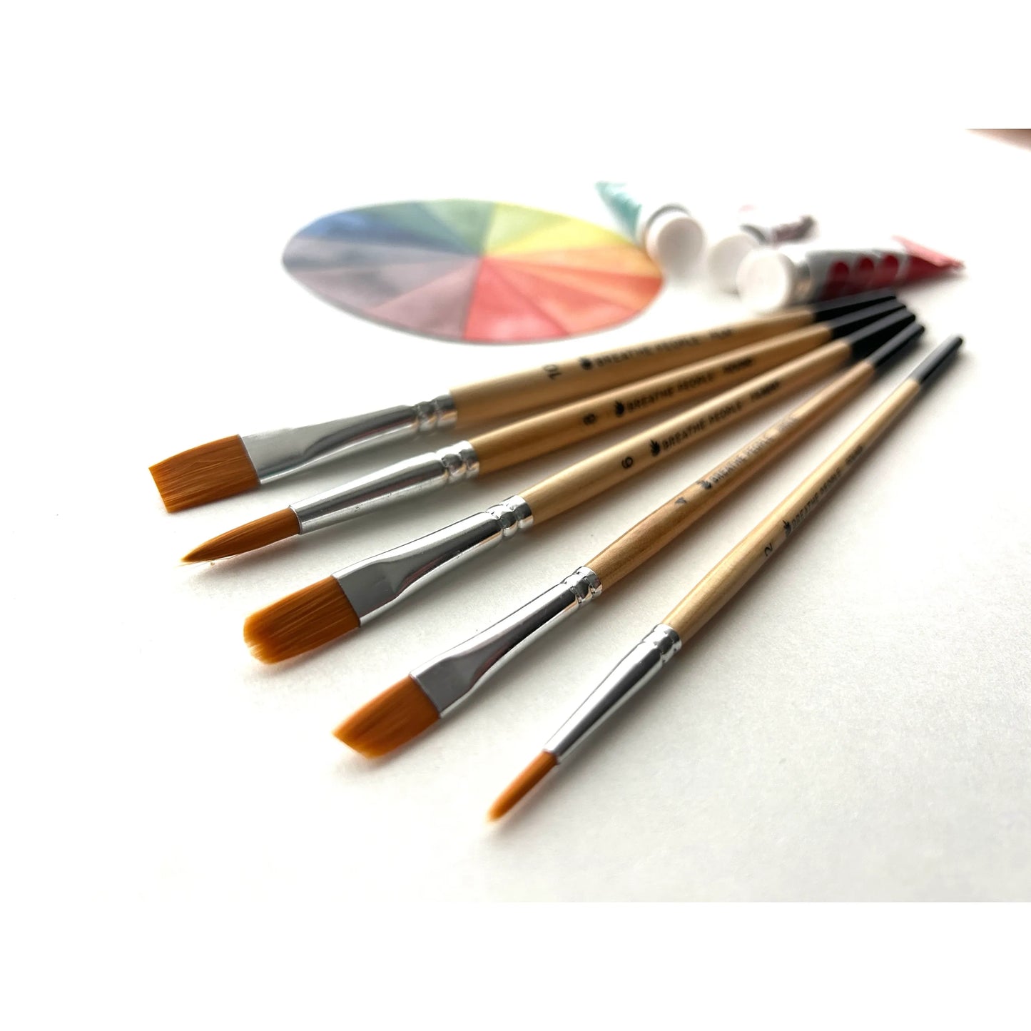 Set of paintbrushes with a color wheel on a white background